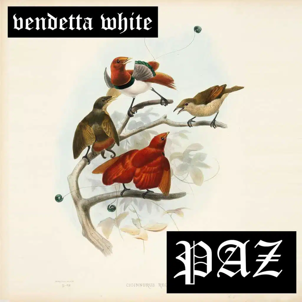 Vendetta White (feat. Birds of New York)