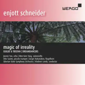 Schneider: Magic of Irreality