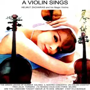 A Violin Sings