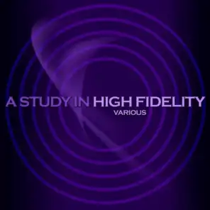 A Study In High Fidelity