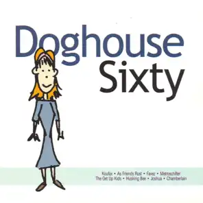 Doghouse 60