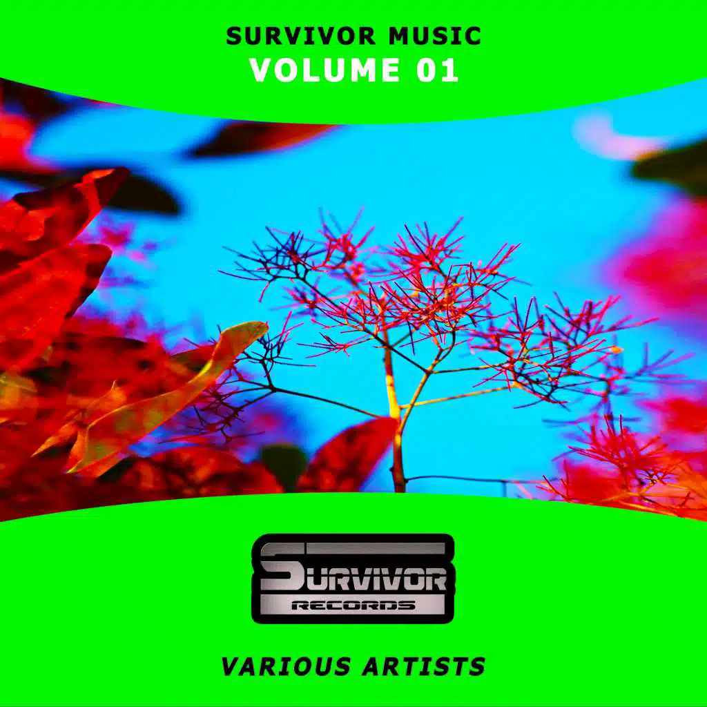 Survivor Music, Vol. 01
