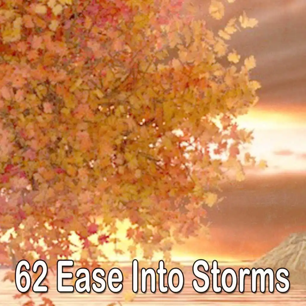 62 Ease Into Storms