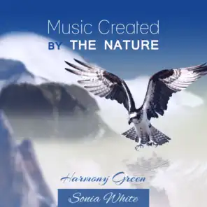 Music Created By the Nature