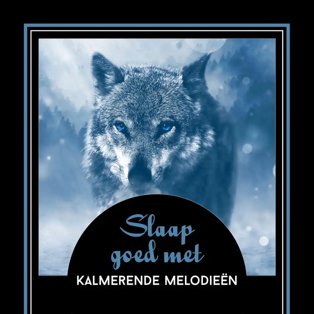 Slaap goed met kalmerende melodieën