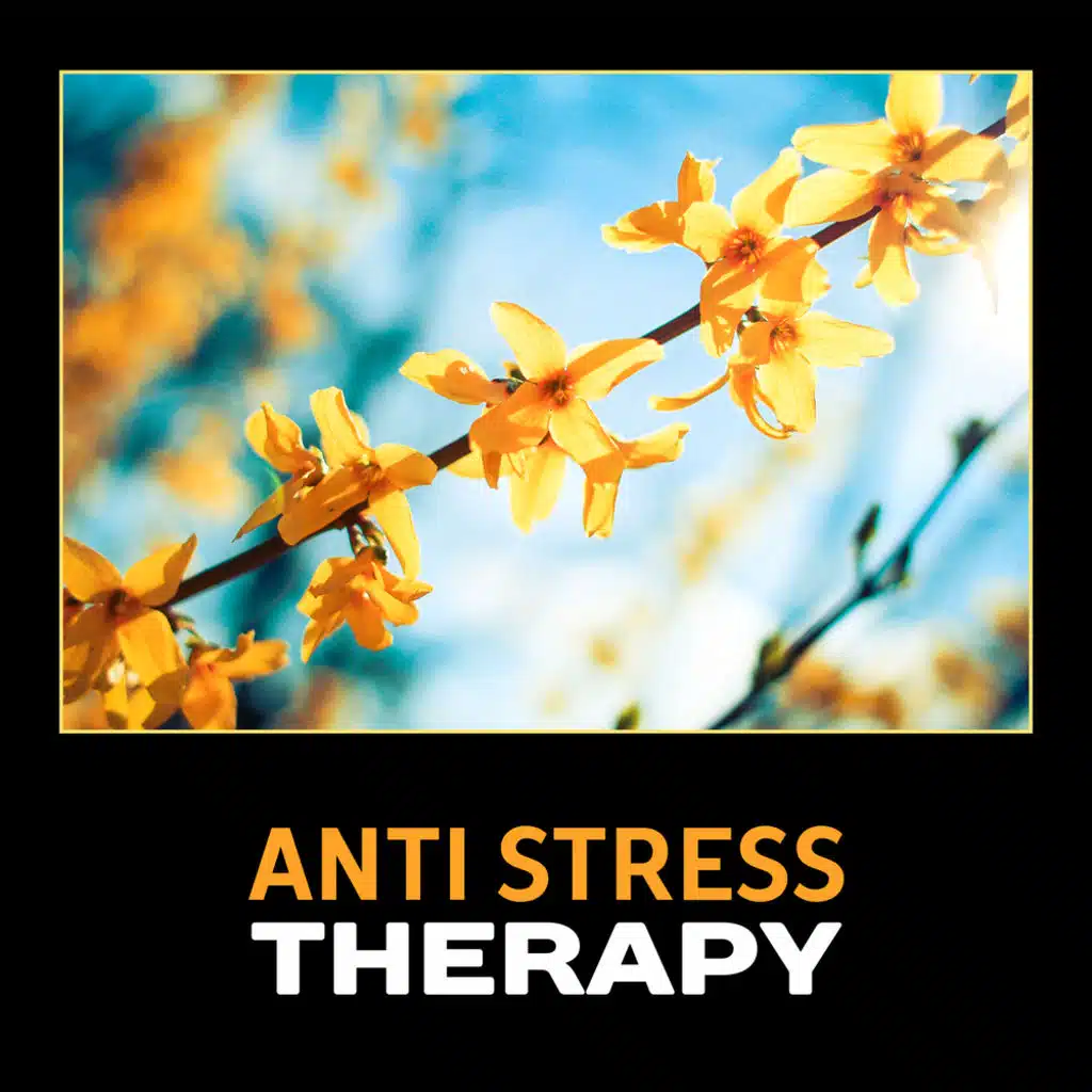 Anti Stress Therapy – Stress Reduction, Freedom from Panic, Social Anxiety Help, Release Negative Emotions, Emotional Healing, Peace & Serenity