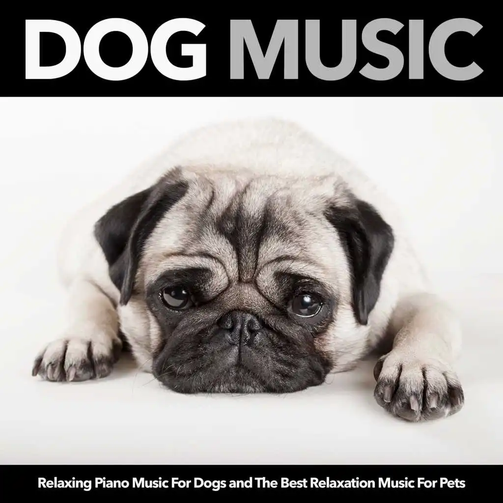 Dog Music: Relaxing Piano Music For Dogs and The Best Relaxation Music For Pets