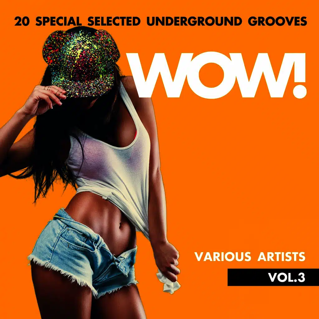 WOW! (20 Special Selected Underground Grooves), Vol. 3
