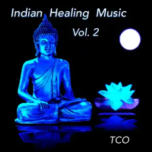 Indian Healing Music Vol. 2 (Indian Music for Yoga, Meditation and Chill out, Performed on Indian Flutes, Tabla, Sitar, Drums and Chants)