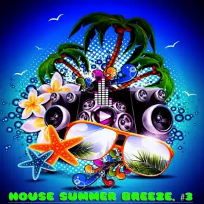 House Summer Breeze, #3 (20 House DJ Tracks)