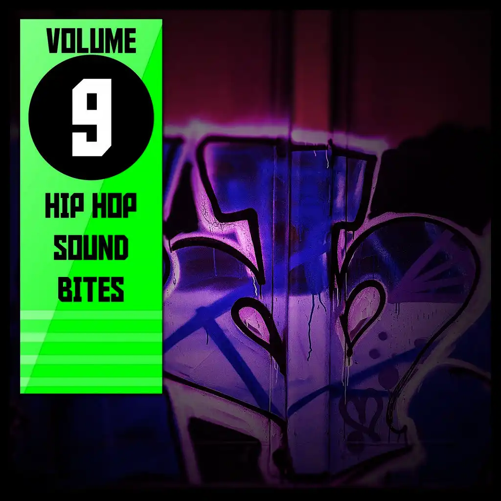 Hip Hop Sound Bites,Vol. 9
