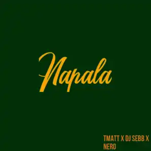 Napala (ft. DJ Sebb & Nero)