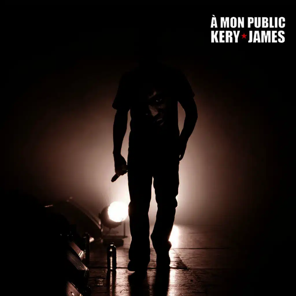 Y'a pas d'couleur (Live au Zénith de Paris le 18 décembre 2009) [ft. Diam's]