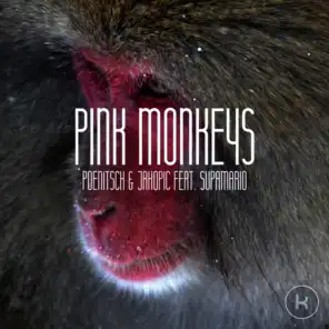 Pink Monkeys (Joris Dee Remix) [ft. Supamario]