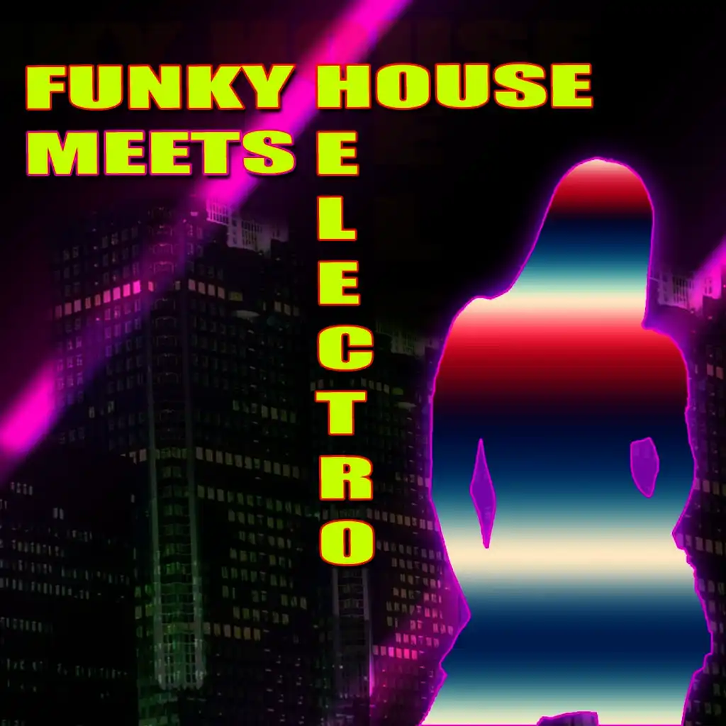 Funky House Meets Electro