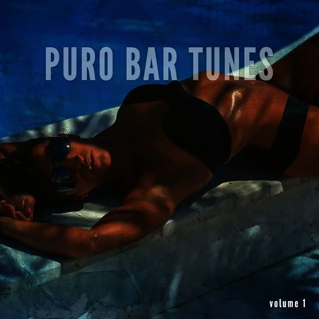 Puro Bar Tunes, Vol. 1