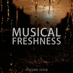 Musical Freshness, Vol. 4 (Fantastic Summer House Tunes)