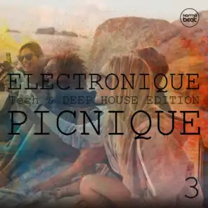 Electronique Picnique, Vol. 3 (Tech & Deep House Edition)