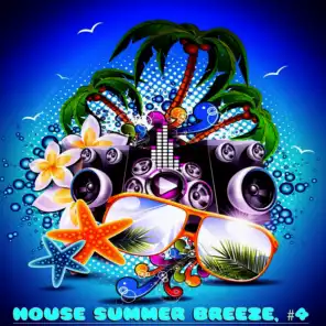 House Summer Breeze, #4 (20 House DJ Tracks)