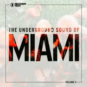 The Underground Sound of Miami, Vol. 2