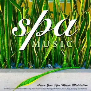 Spa Music: Soothing Sounds of Birds and Relaxing Piano Music for Spa, Massage, Meditation, Focus, Yoga, Sleeping and Wellness