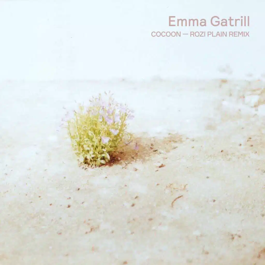 Cocoon (Rozi Plain Remix)