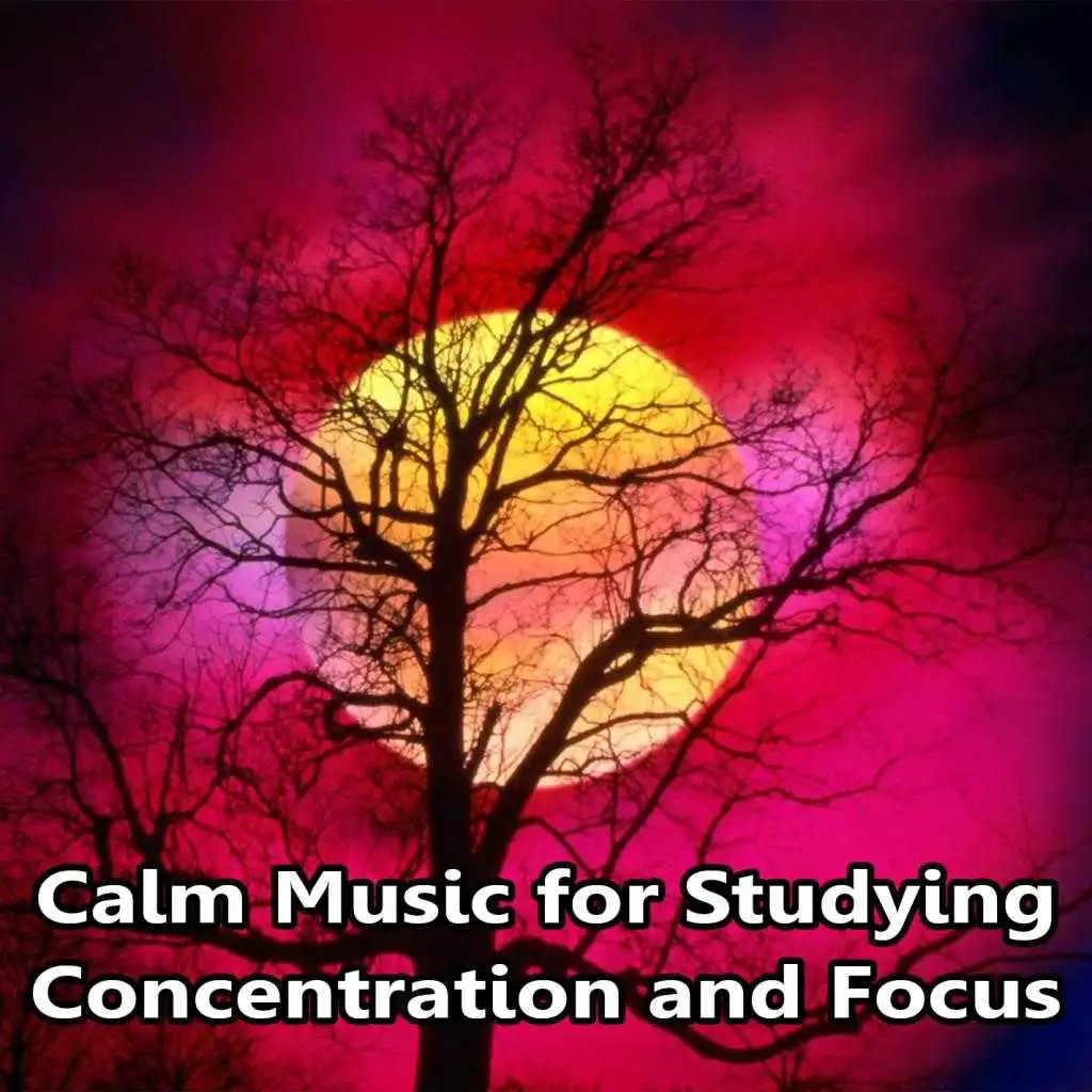 Calm Music for Studying, Concentration and Focus (feat. Renato Ferrari)