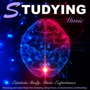 Studying Music: Relaxing and Calm Music for Studying, Deep Focus, Concentration and Reading