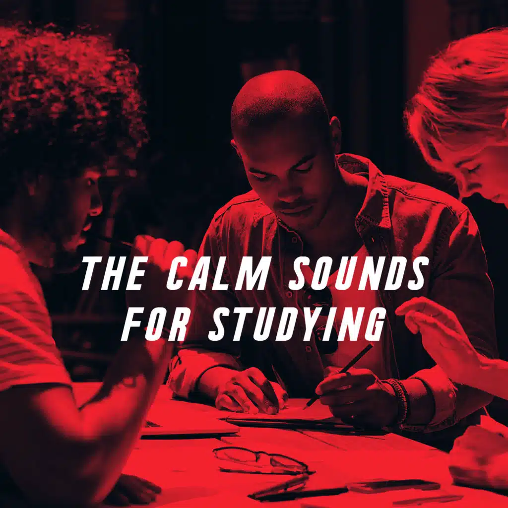 The Calm Sounds For Studying