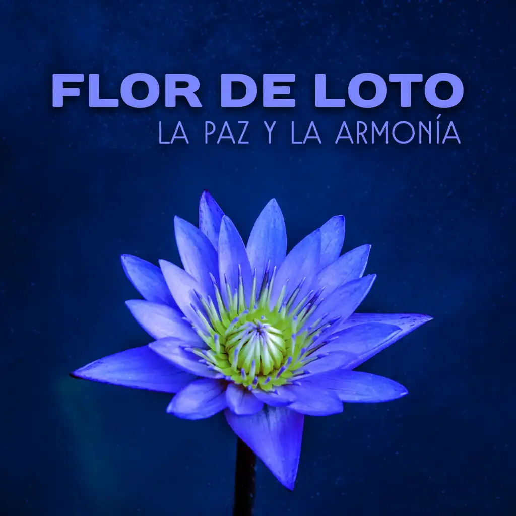 Flor de Loto – La Paz y La Armonía, Antistres, Zen Música, Flor de La Mañana, Relajante