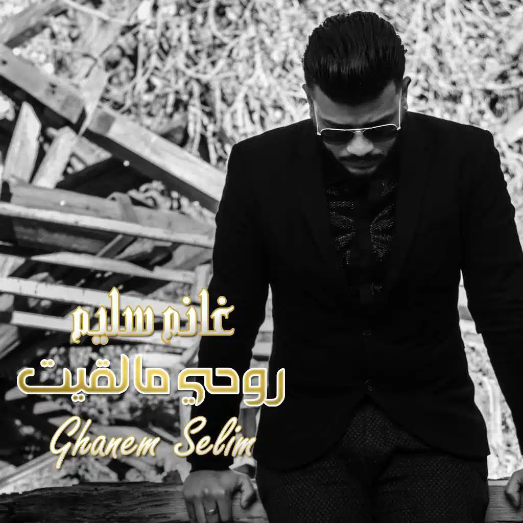 روحي ما لقيت