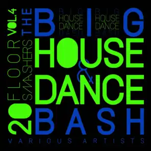 The Big House & Dance Bash, Vol. 4 (20 Floor Smashers)