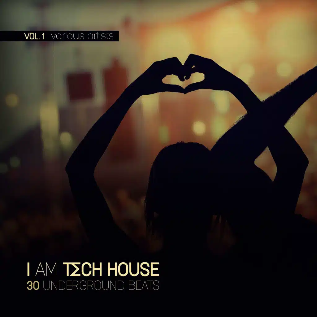 From the Dust (Max Porcelli Remix)