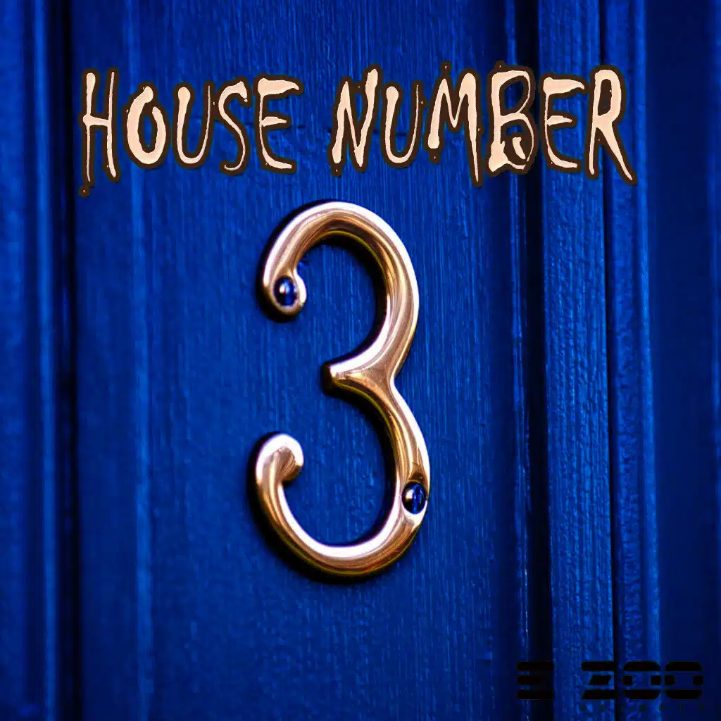 House Number 3