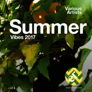 Summer Vibes 2017