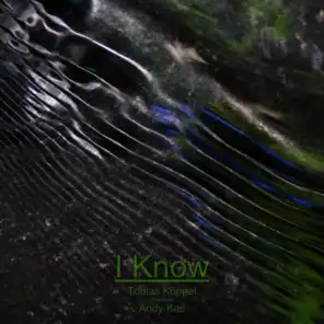 I Know (Andy Kas Remix)