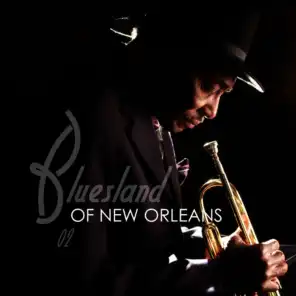 Bluesland of New Orleans, Vol. 2