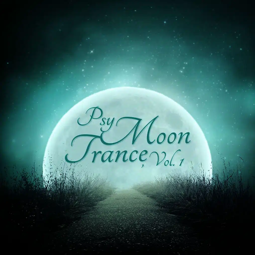 Aeroplane (Space Venom Remix)