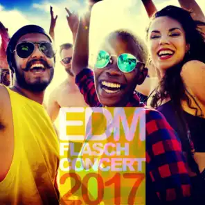 EDM Flasch Concert 2017
