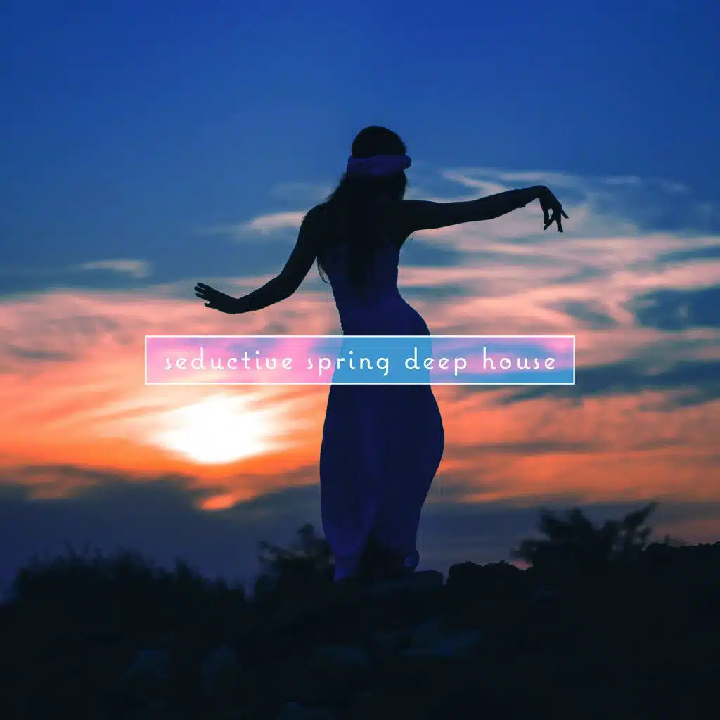 Dreamer (Ibiza Dub Mix)