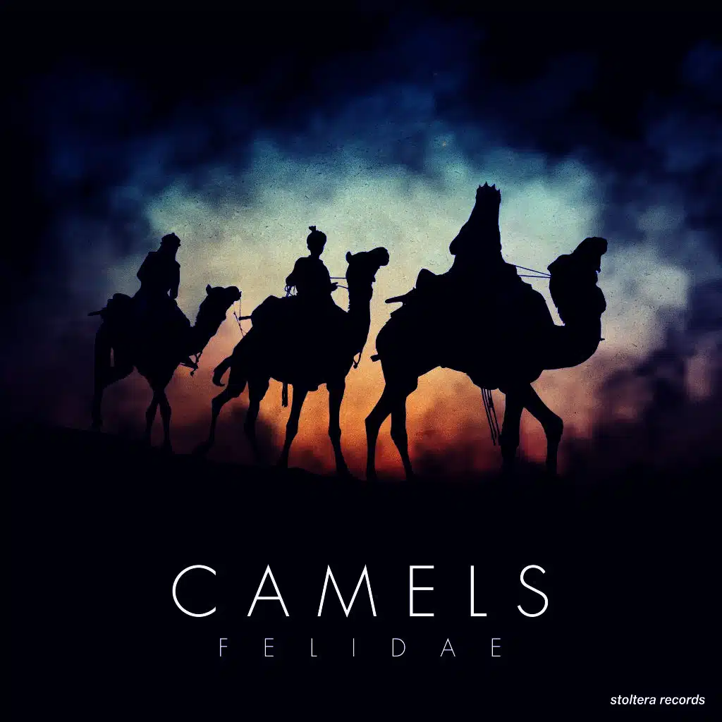 Camels