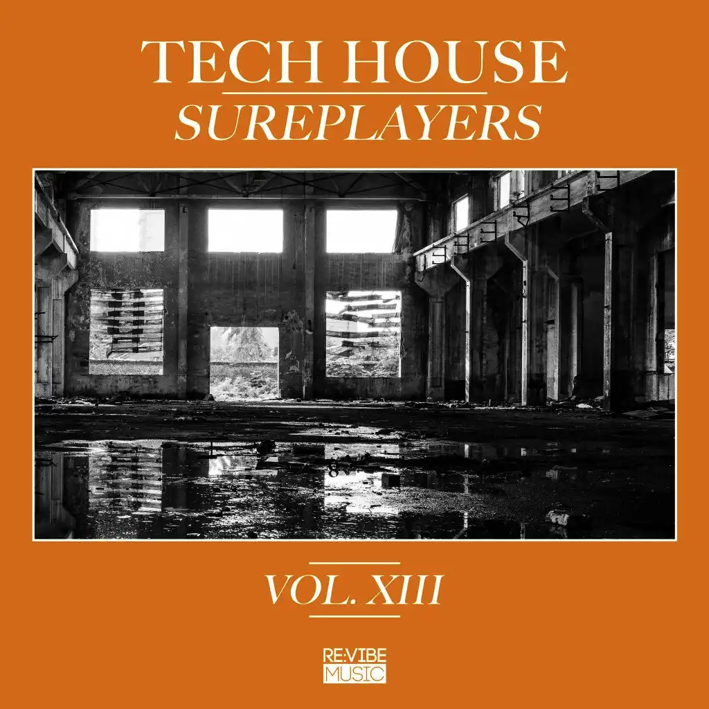 Tech House Sureplayers, Vol. 13