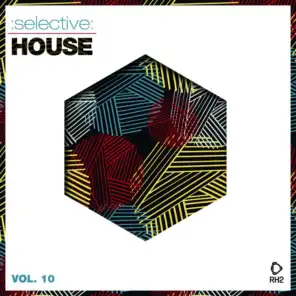 Selective: House, Vol. 10