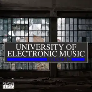 University of Electronic Music, Vol. 10