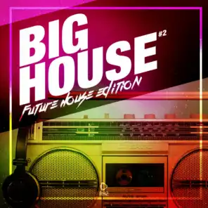 Big House - Future House Edition, Vol. 2
