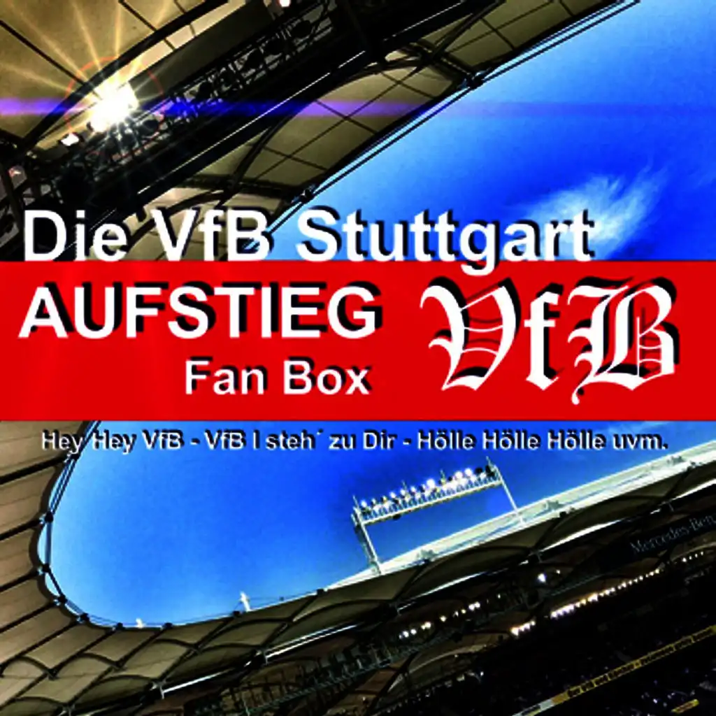 Die VFB Stuttgart Aufstieg-Fan-Box