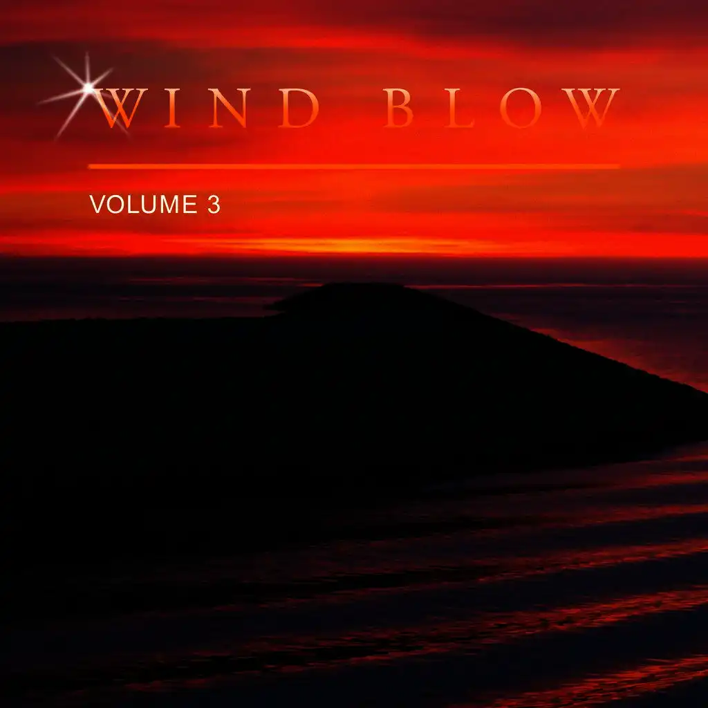 Wind Blow, Vol. 3
