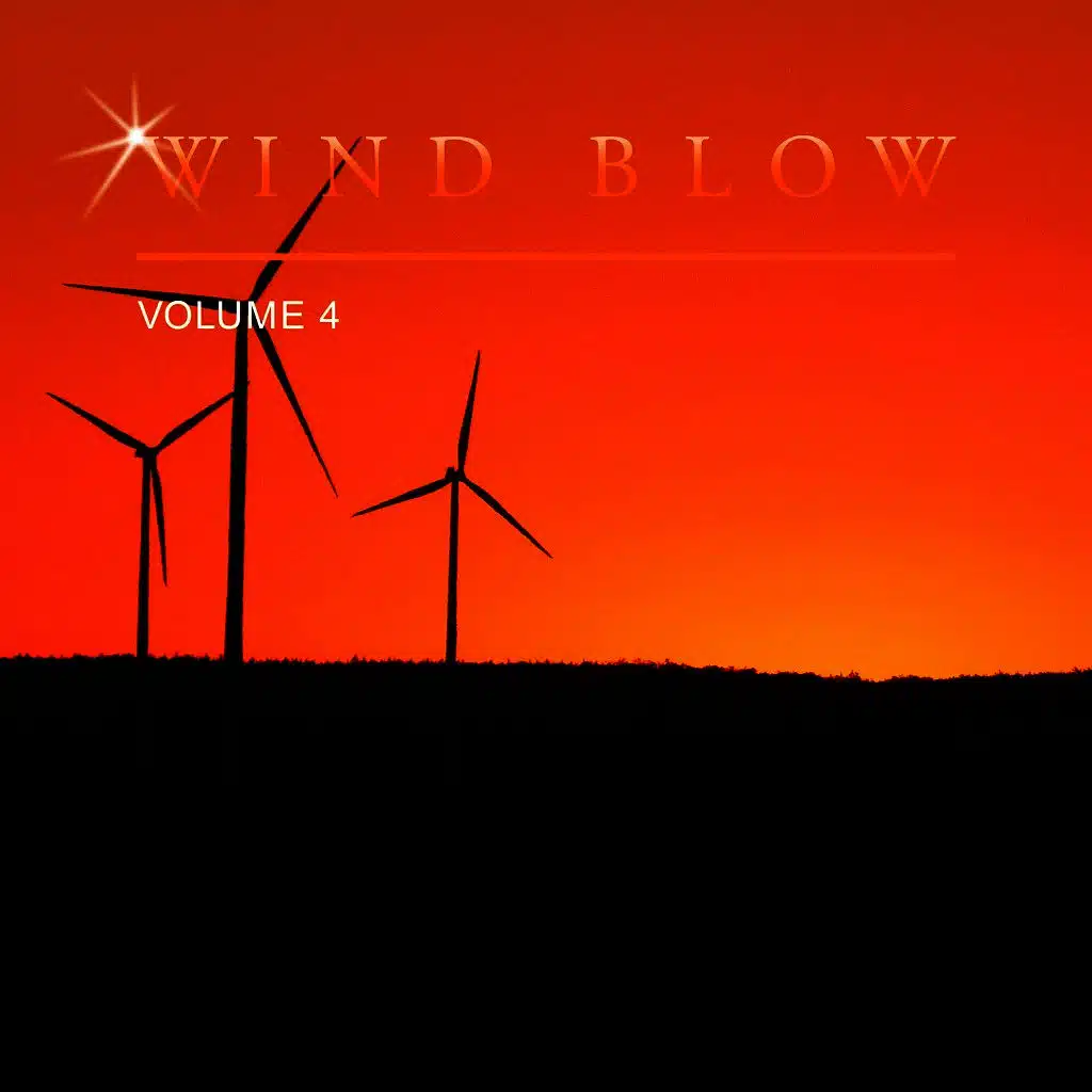 Wind Blow, Vol. 4