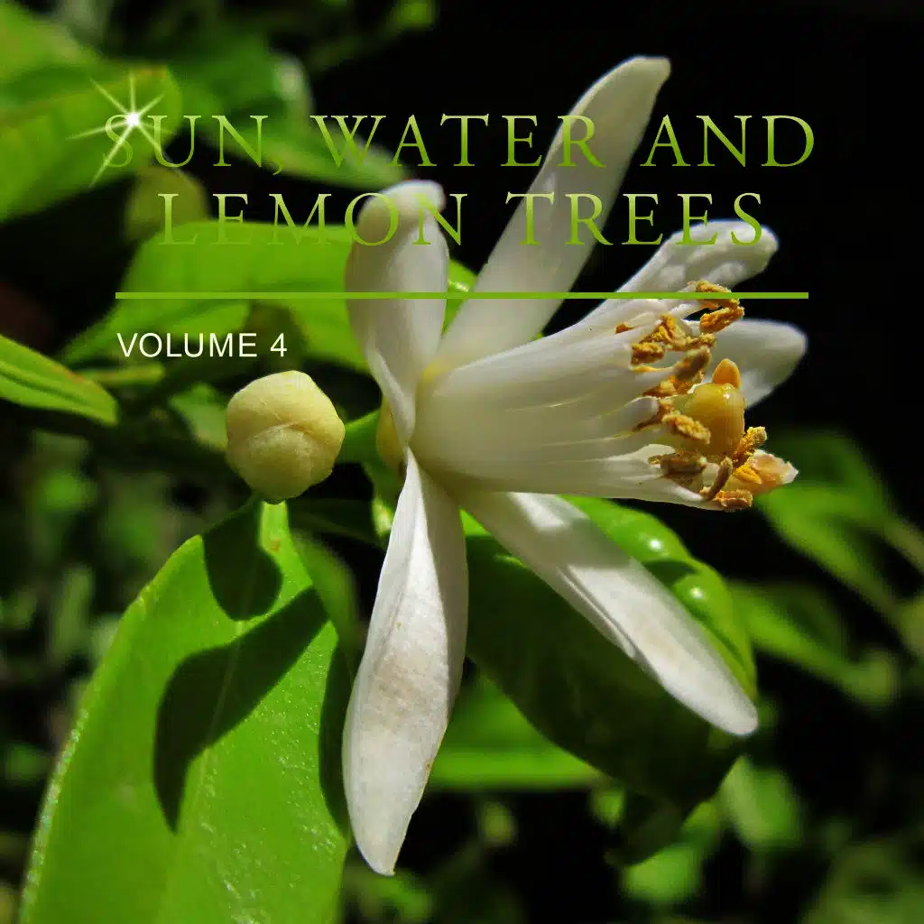 Sun, Water and Lemon Trees, Vol. 4