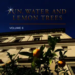Sun, Water and Lemon Trees, Vol. 6